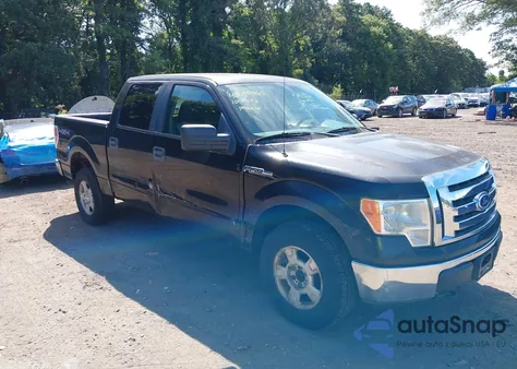 2010 Ford F-150 Xl/Xlt from USA, damaged, VIN 1FTEW1E85AFA90379